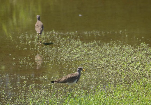 201208211323-DSC07939.jpg