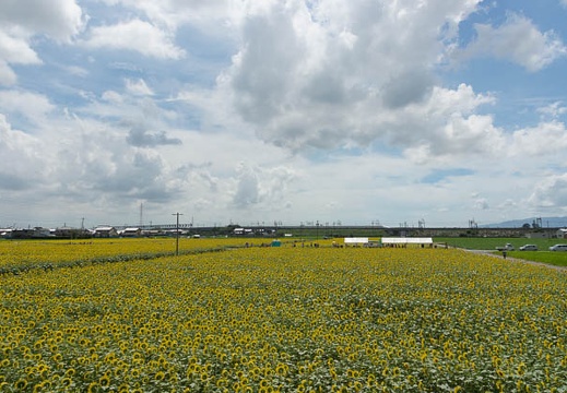 201208221123-DSC08235.jpg