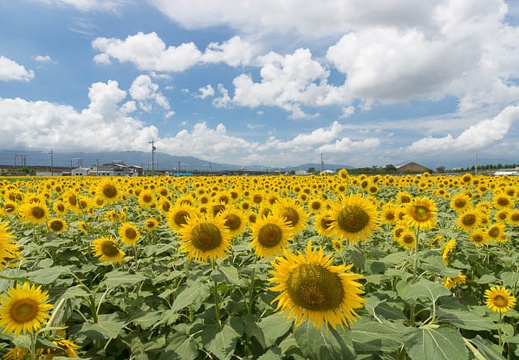 201208221154-DSC08300.jpg