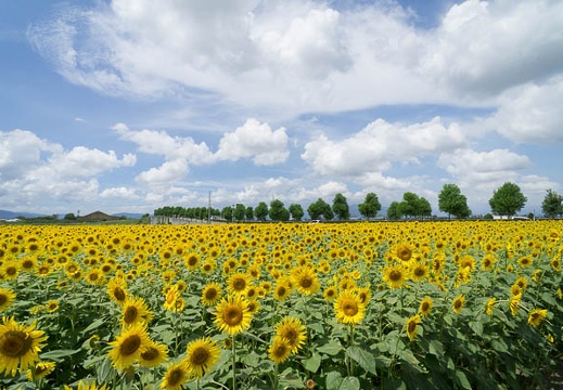201208221210-DSC00698N.jpg