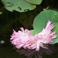 201208241329-DSC08670.jpg