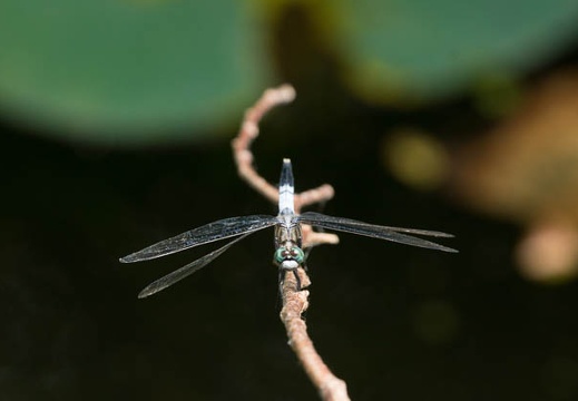 201208241333-DSC08685.jpg