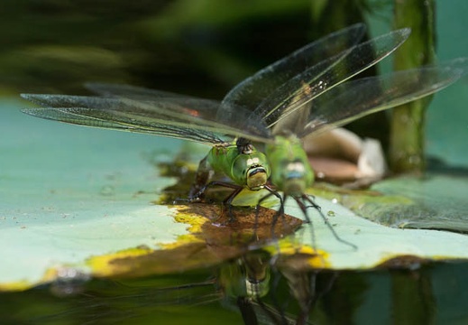 201208241335-DSC08711.jpg