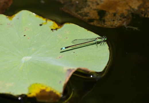 201208241349-DSC08813.jpg