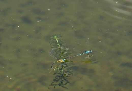 201208241354-DSC08850.jpg
