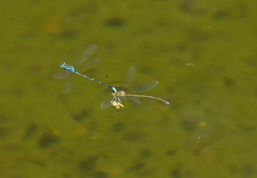 201208241354-DSC08854.jpg