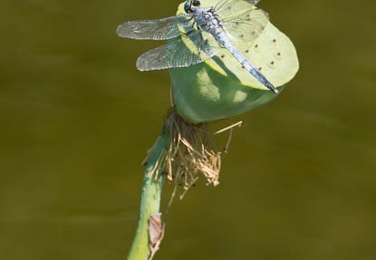 201208241401-DSC08895.jpg