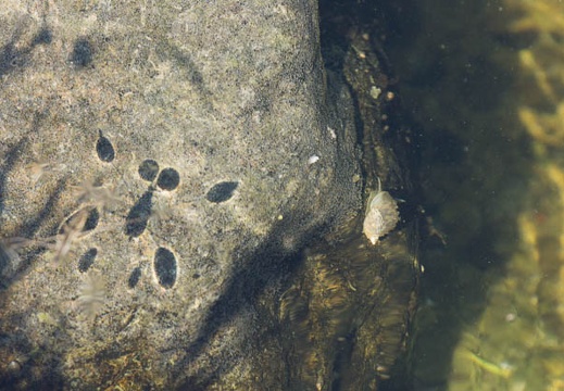 201208241402-DSC08901.jpg