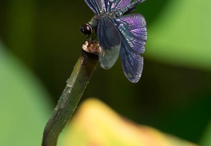 201208241405-DSC08923.jpg