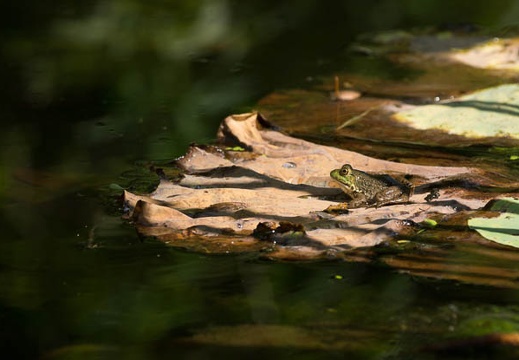 201208241418-DSC08995.jpg