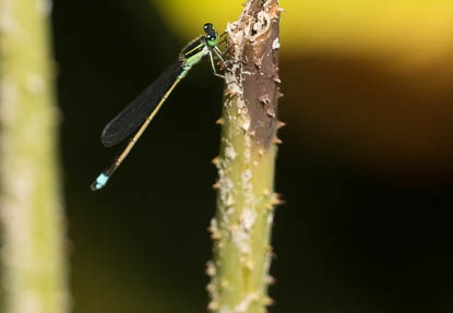 201208241424-DSC09033.jpg