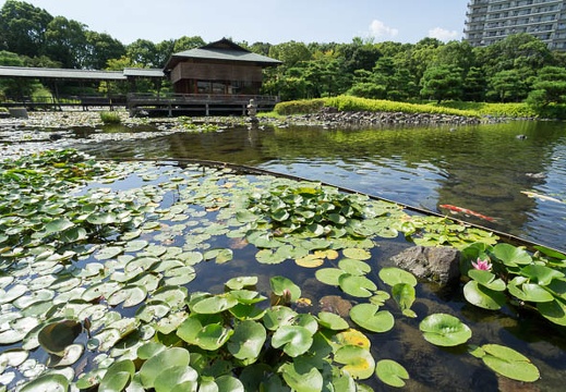 201208241435-DSC00895N.jpg