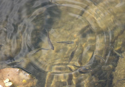 201208241436-DSC09067.jpg