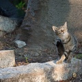 201209041702-DSC09638.jpg