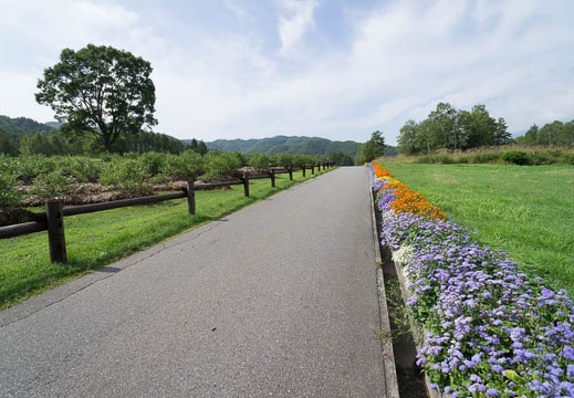 201209050935-DSC01291N.jpg