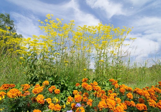201209050943-DSC01311N.jpg