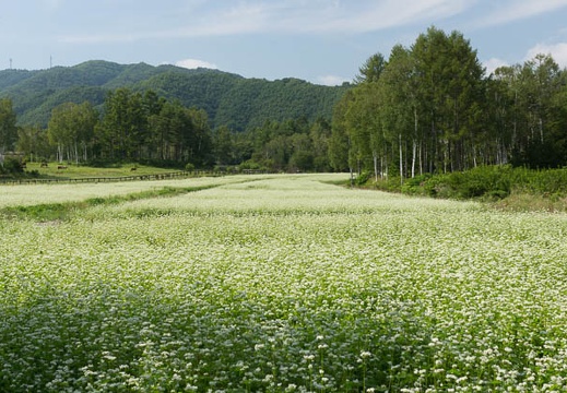 201209050951-DSC09782.jpg