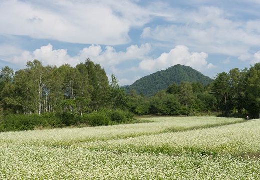 201209051003-DSC09820.jpg