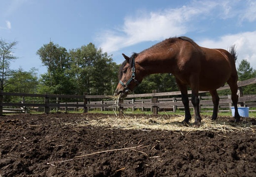 201209051019-DSC09867.jpg