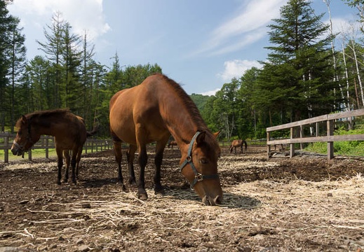201209051026-DSC09884.jpg