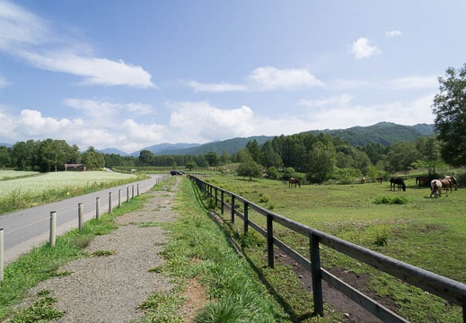 201209051046-DSC01357N.jpg