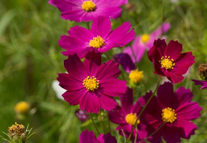 201209051104-DSC09945.jpg