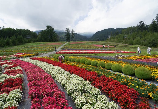 201209051152-DSC01393N.jpg