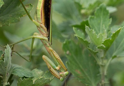201209111334-DSC00486.jpg