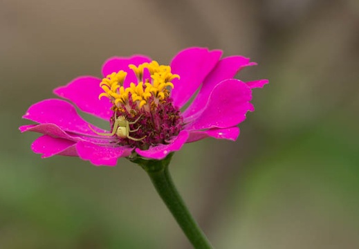 201209111335-DSC00488.jpg