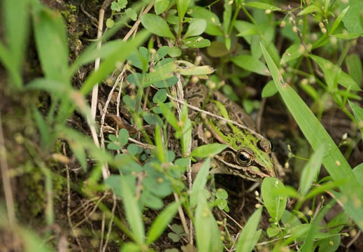 201209111337-DSC00492.jpg