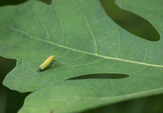 201209111339-DSC00494.jpg