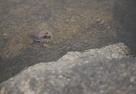 201209111352-DSC00520.jpg
