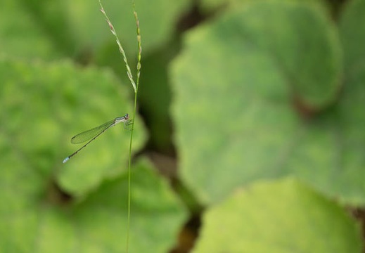 201209111406-DSC00548.jpg