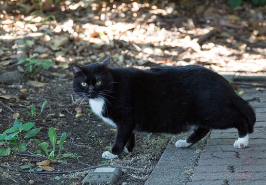 201209121611-DSC00799.jpg