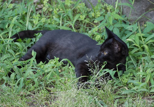 201209121621-DSC00815.jpg