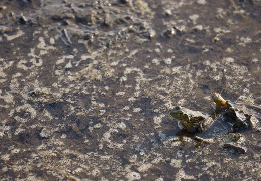 201209121637-DSC00842.jpg