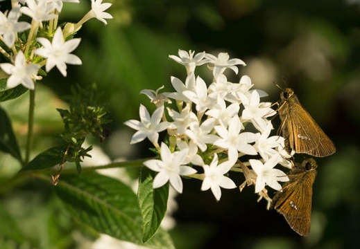201209121656-DSC00892.jpg