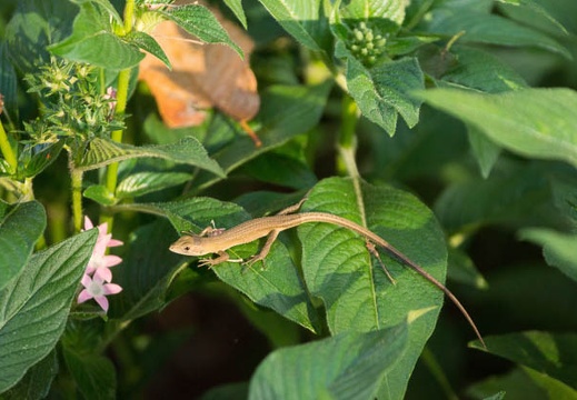 201209121658-DSC00898.jpg