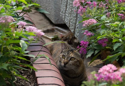 201209121702-DSC00906.jpg