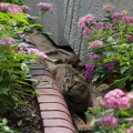 201209121702-DSC00906.jpg