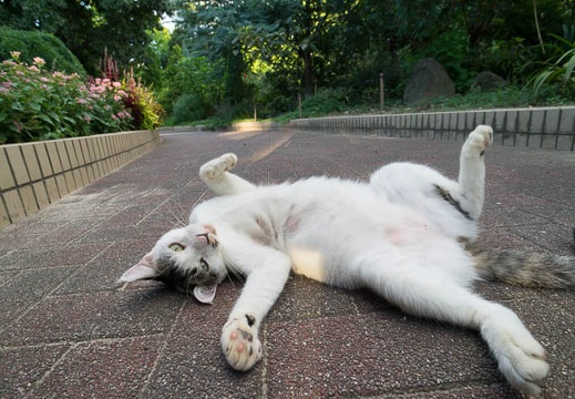201209121714-DSC01824N.jpg