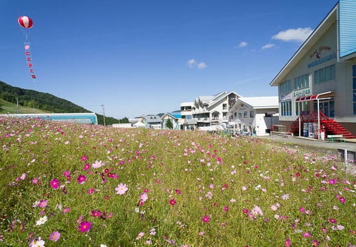 201209130920-DSC01860N.jpg