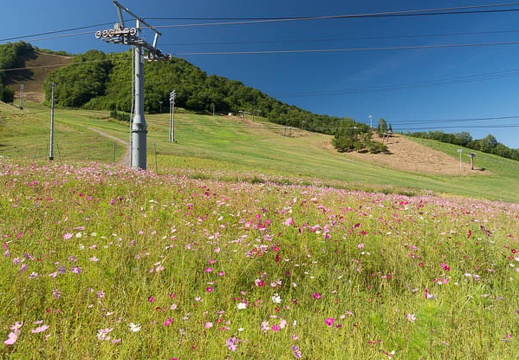 201209130944-DSC00998.jpg