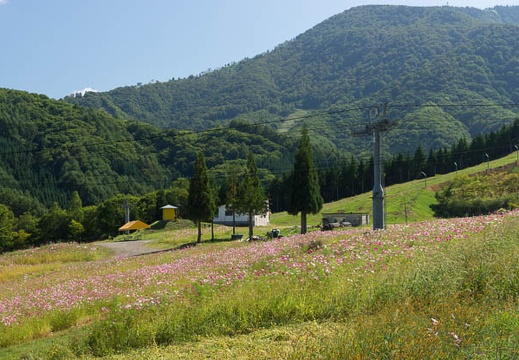 201209130955-DSC01022.jpg