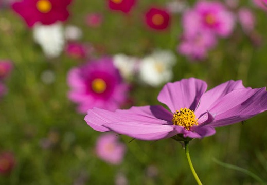 201209130959-DSC01051.jpg