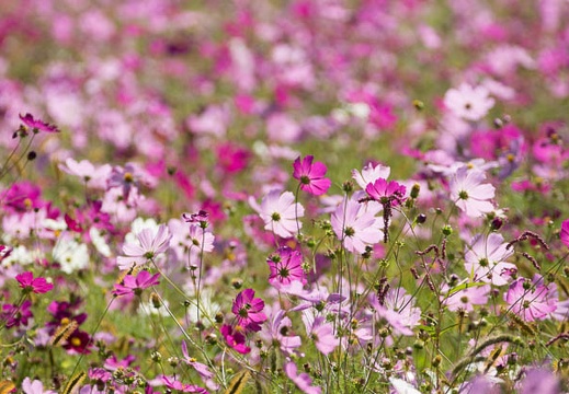201209131004-DSC01078.jpg