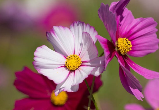 201209131006-DSC01089.jpg