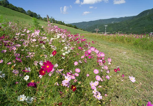 201209131014-DSC01907N.jpg