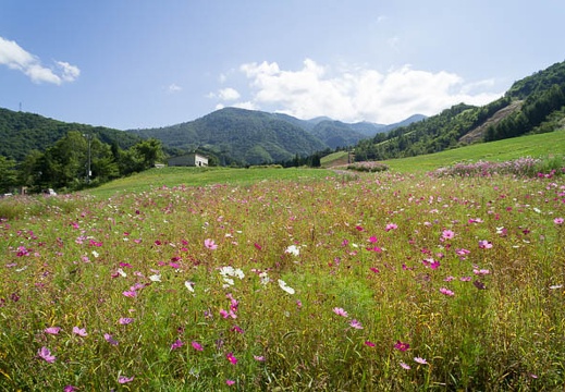 201209131017-DSC01917N.jpg