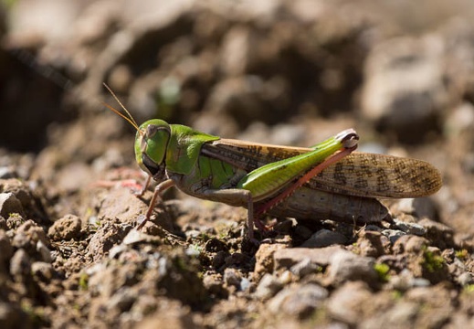 201209131023-DSC01131.jpg